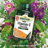 Chewable Vitamin C 500mg 100 Tablets - Eco Natural Products - Natures Aid - Vitamins & Supplements