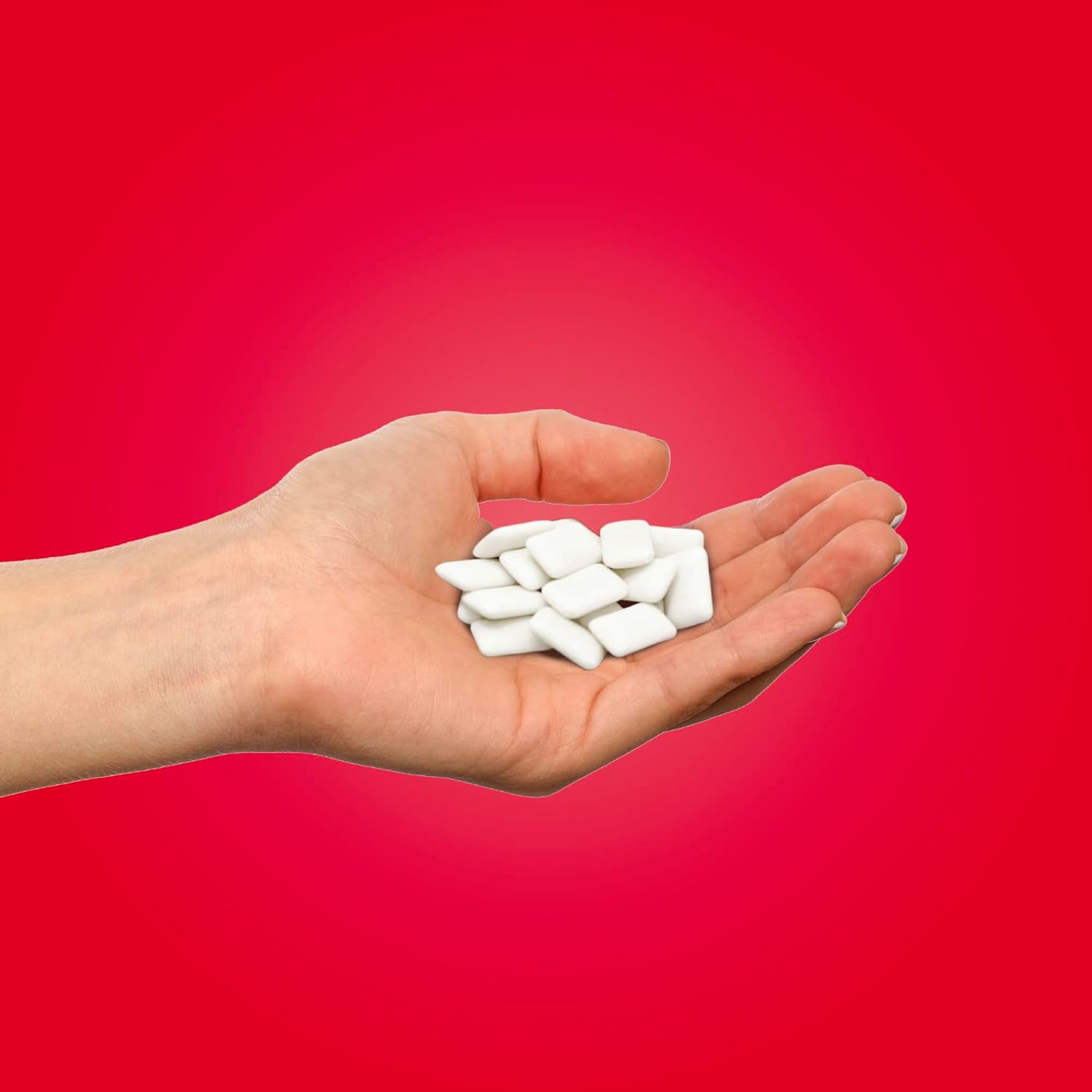 Cinnamon Gum Blister Pack 9 Pieces - Pur - Gum - Eco Natural Products