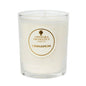 Cinnamon Mini Pot Candle - Amphora Aromatics - Candle - Eco Natural Products