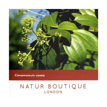 Cinnamon Tea with Black Pepper 20 Sachets - Natur Boutique - Herbal tea - Eco Natural Products