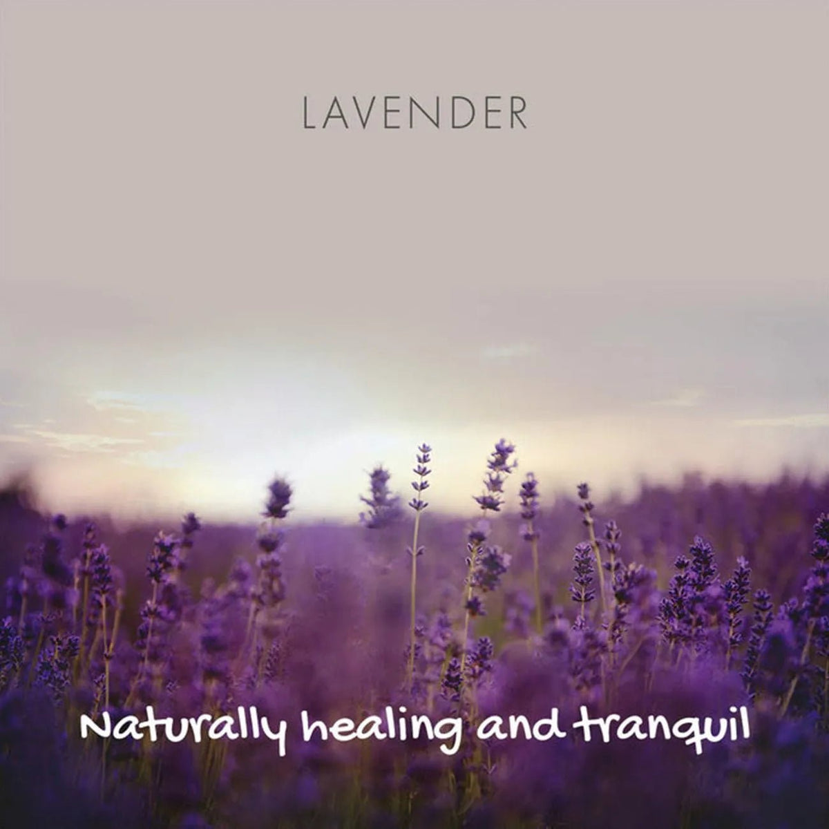 Classic Lavender Soap On A Rope 125g - Friendly Soap - Bar Soap - Friendly Soap