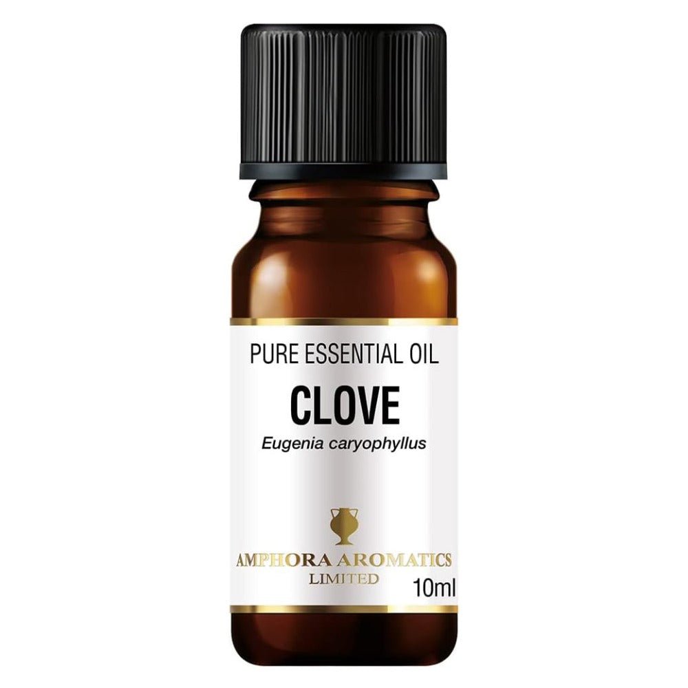 Clove Essential Oil 10ml - Eco Natural Products - Amphora Aromatics - Essential Oil