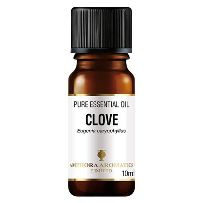 Clove Essential Oil 10ml - Amphora Aromatics - Essential Oil - Eco Natural Products