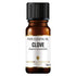 Clove Essential Oil 10ml - Eco Natural Products - Amphora Aromatics - Essential Oil