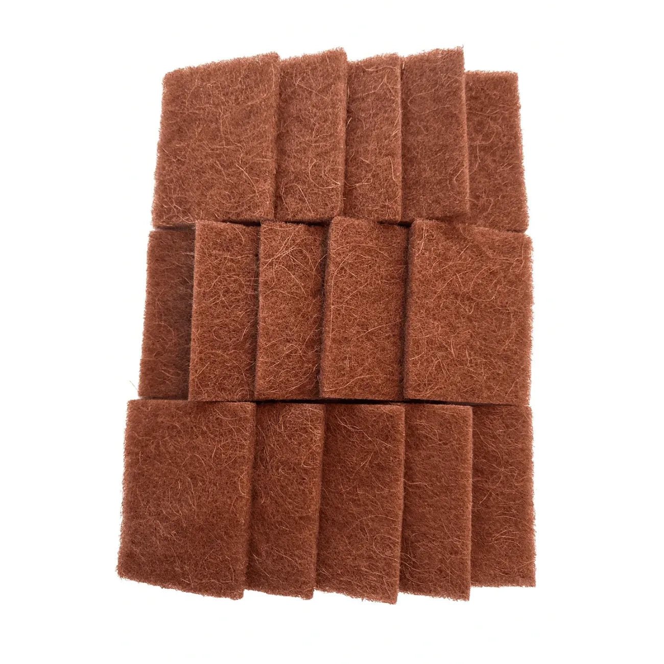 Coconut Dish Scrubber Biodegradable 15 Pack - Re:gn - Sponges & Scouring Pads - Re:gn