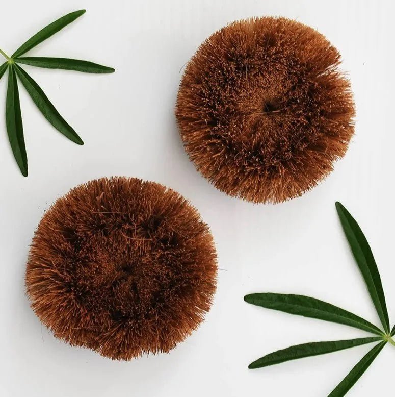 Coconut Scourer Brush 2 Pack - Re:gn - Scrub Brushes - Re:gn
