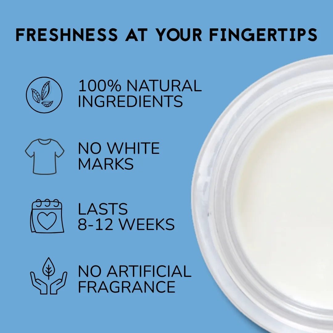 Coconut + Shea Unscented Gentle Deodorant Cream 55g - The Natural Deodorant Co - Deodorants - The Natural Deodorant Co