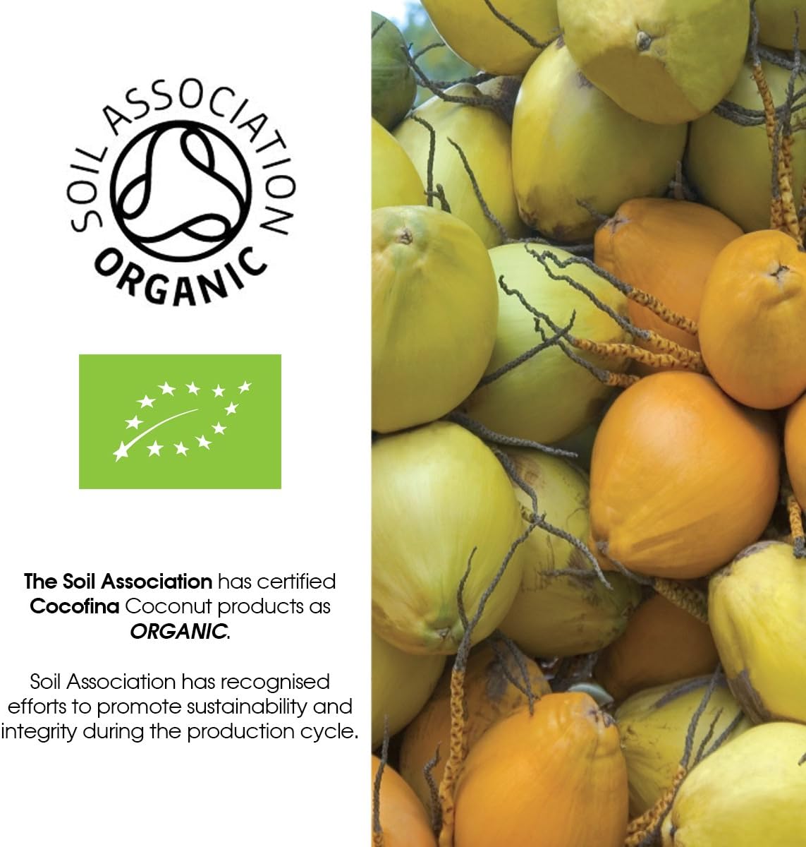 Coconut Water 1000ml - Cocofina - Nutrition Drinks & Shakes - Eco Natural Products