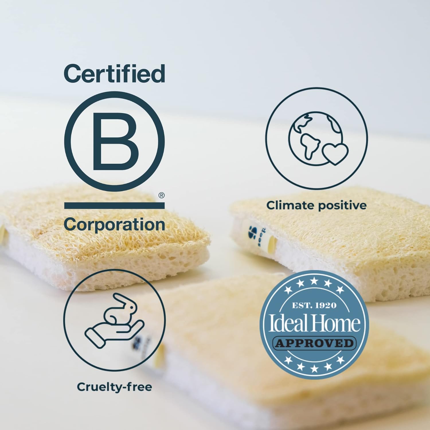 Compostable Sponge with Loofah Scourer 1 unit 20g - Seep - Loofah Sponge - Eco Natural Products