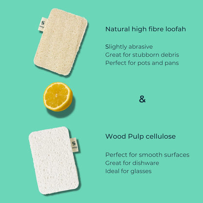 Compostable Sponge with Loofah Scourer 1 unit 20g - Seep - Loofah Sponge - Eco Natural Products
