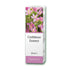 Confidence Essence 30ml - Eco Natural Products - Jan de Vries - Essence