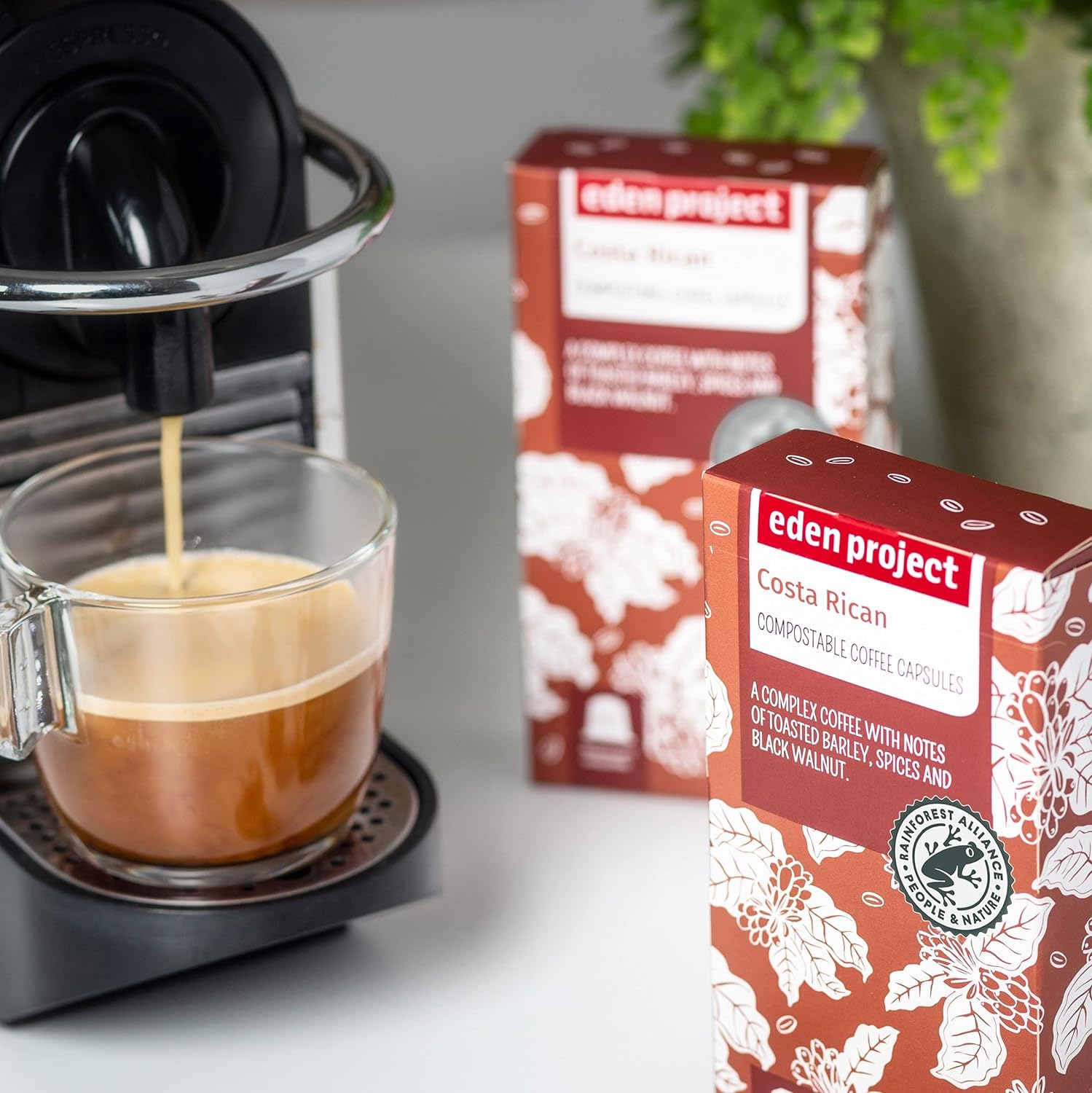 Costa Rican Coffee Capsules x 10 - Eden Project - Coffee - Eco Natural Products