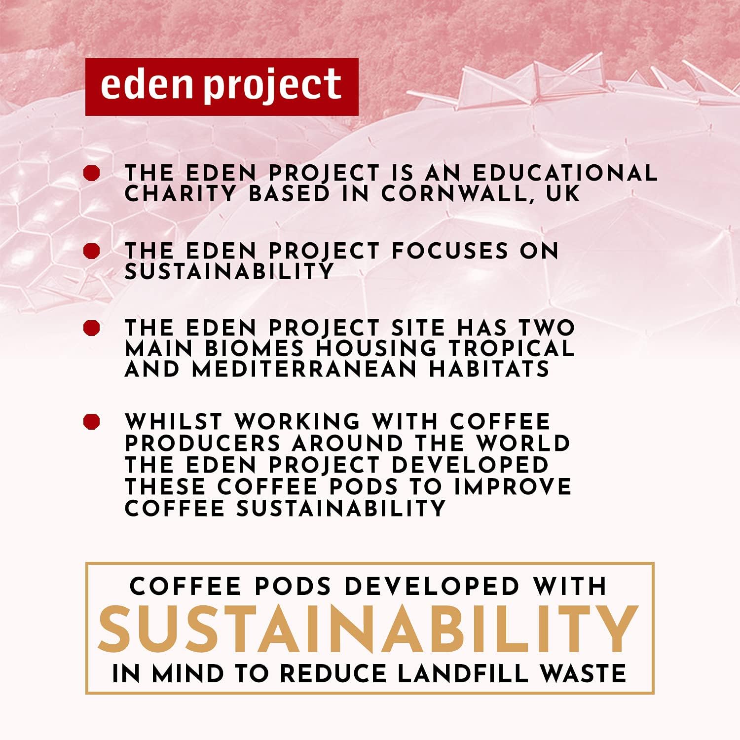 Costa Rican Coffee Capsules x 10 - Eco Natural Products - Eden Project - Coffee