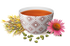 Organic Echinacea Herbal Tea 17bag