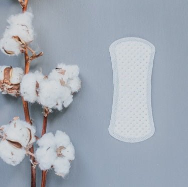 Curved Panty Liners 30 pcs - Natracare - Feminine Sanitary Supplies - Eco Natural Products