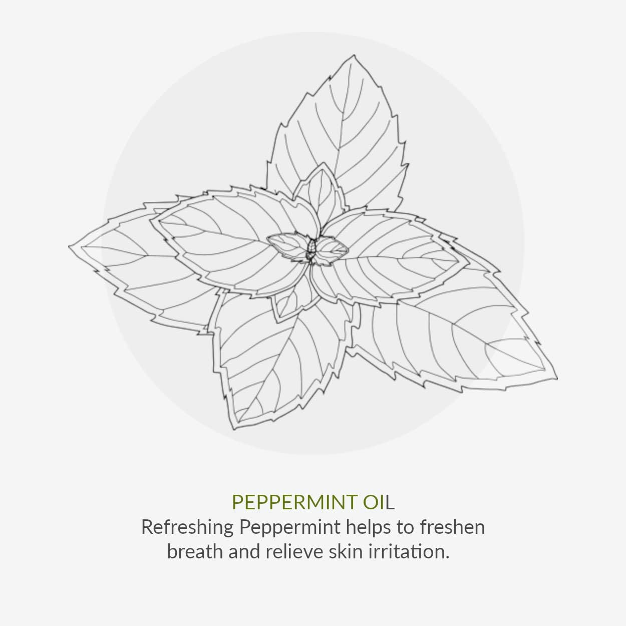 Deodorant No. 9 Mint & Prebiotics 75ml - Green People - Deodorant - Eco Natural Products