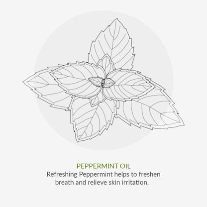 Deodorant No. 9 Mint & Prebiotics 75ml - Green People - Deodorant - Eco Natural Products