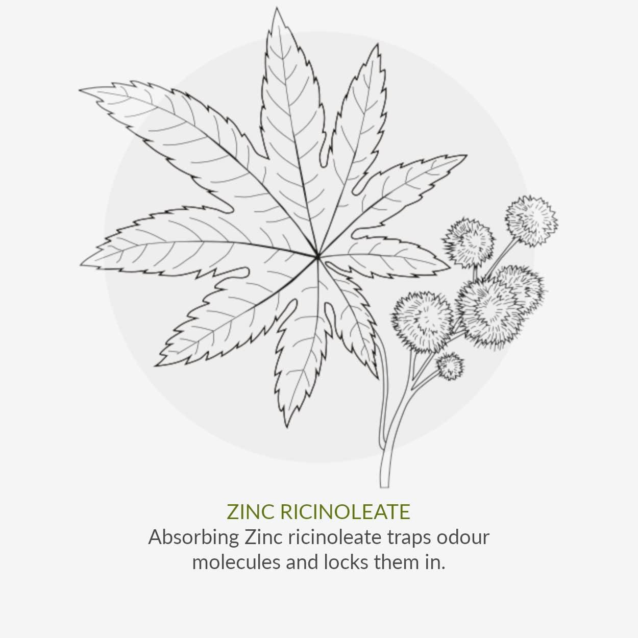 Deodorant No. 9 Mint & Prebiotics 75ml - Green People - Deodorant - Eco Natural Products