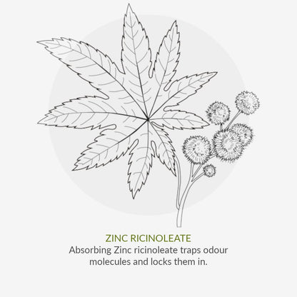 Deodorant No. 9 Mint & Prebiotics 75ml - Green People - Deodorant - Eco Natural Products