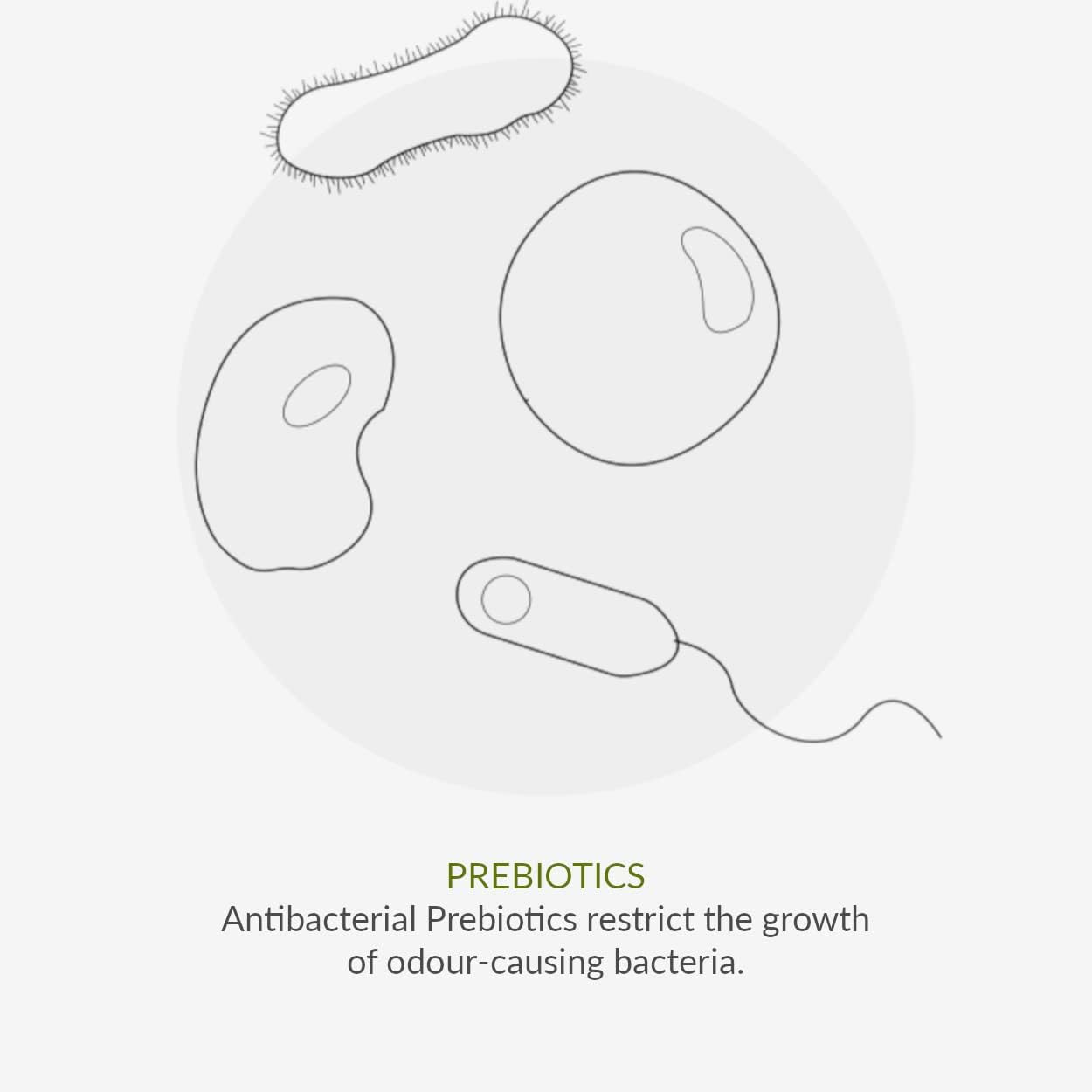 Deodorant No. 9 Mint & Prebiotics 75ml - Green People - Deodorant - Eco Natural Products