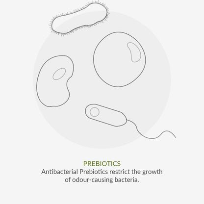 Deodorant No. 9 Mint & Prebiotics 75ml - Green People - Deodorant - Eco Natural Products