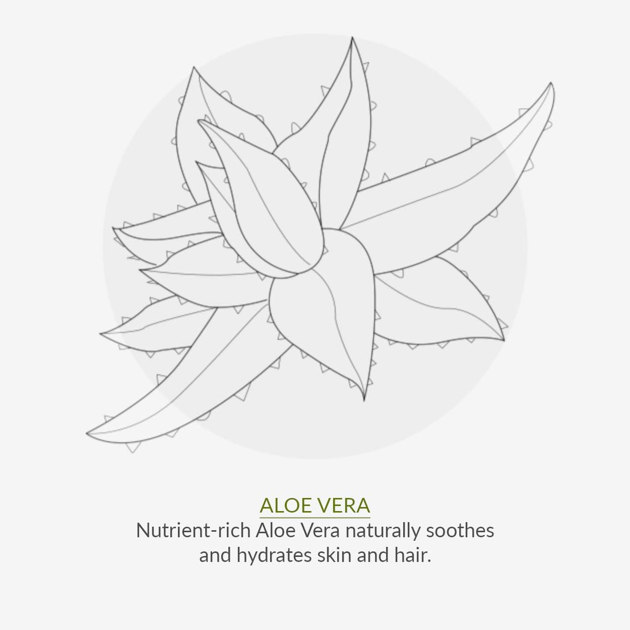 Deodorant No. 9 Mint & Prebiotics 75ml - Green People - Deodorant - Eco Natural Products