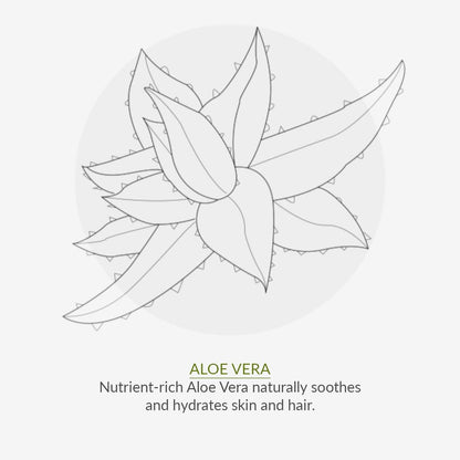 Deodorant No. 9 Mint & Prebiotics 75ml - Green People - Deodorant - Eco Natural Products