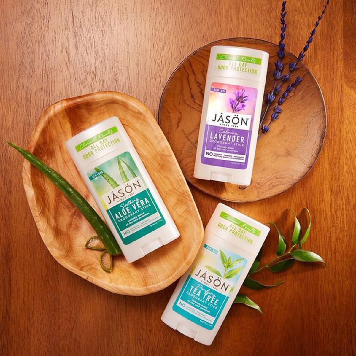 Deodorant Stick Purifying Tea Tree 71g - Jason - Deodorant Stick - Eco Natural Products