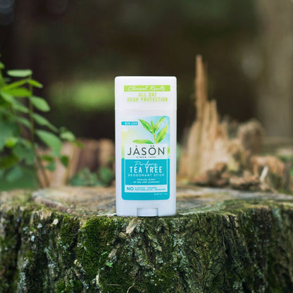 Deodorant Stick Purifying Tea Tree 71g - Jason - Deodorant Stick - Eco Natural Products