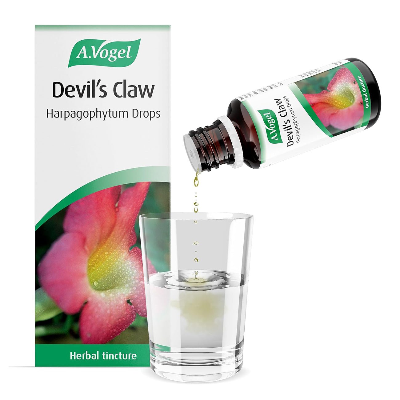Devil's Claw Tincture 50ml - A. Vogel - Herbal Supplements - Eco Natural Products