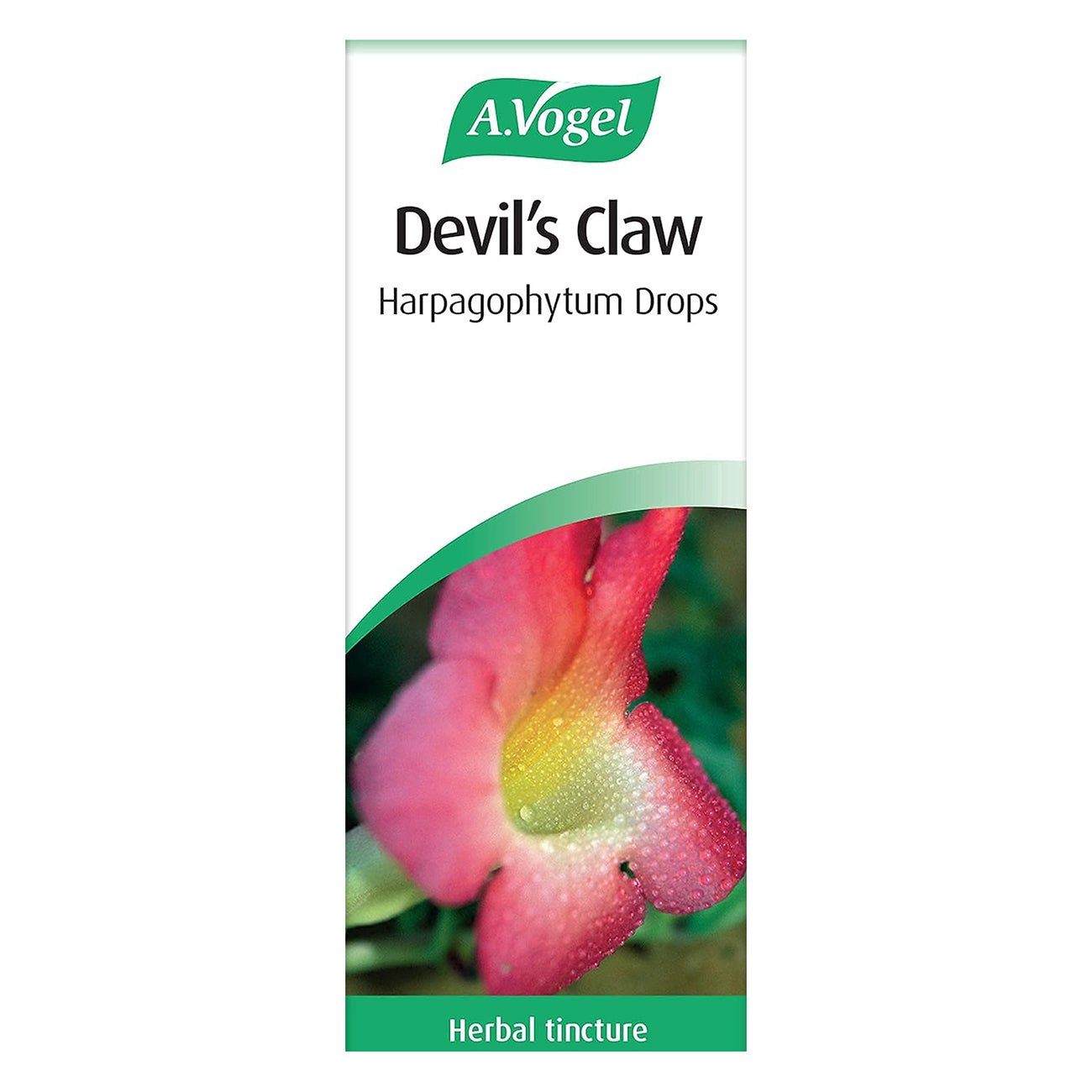 Devil's Claw Tincture 50ml - A. Vogel - Herbal Supplements - Eco Natural Products