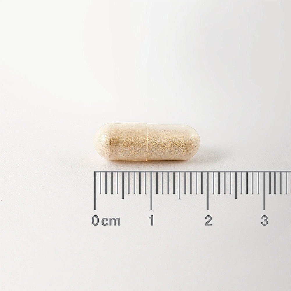 Digestizyme 100 Caps - Lamberts - Food Supplement - Eco Natural Products