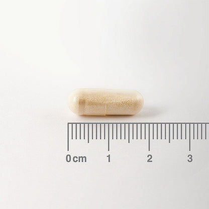 Digestizyme 100 Caps - Lamberts - Food Supplement - Eco Natural Products