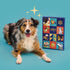 Dog Christmas Advent Calendar 24 Servings - Eco Natural Products - Lilys Kitchen - Advent calendar