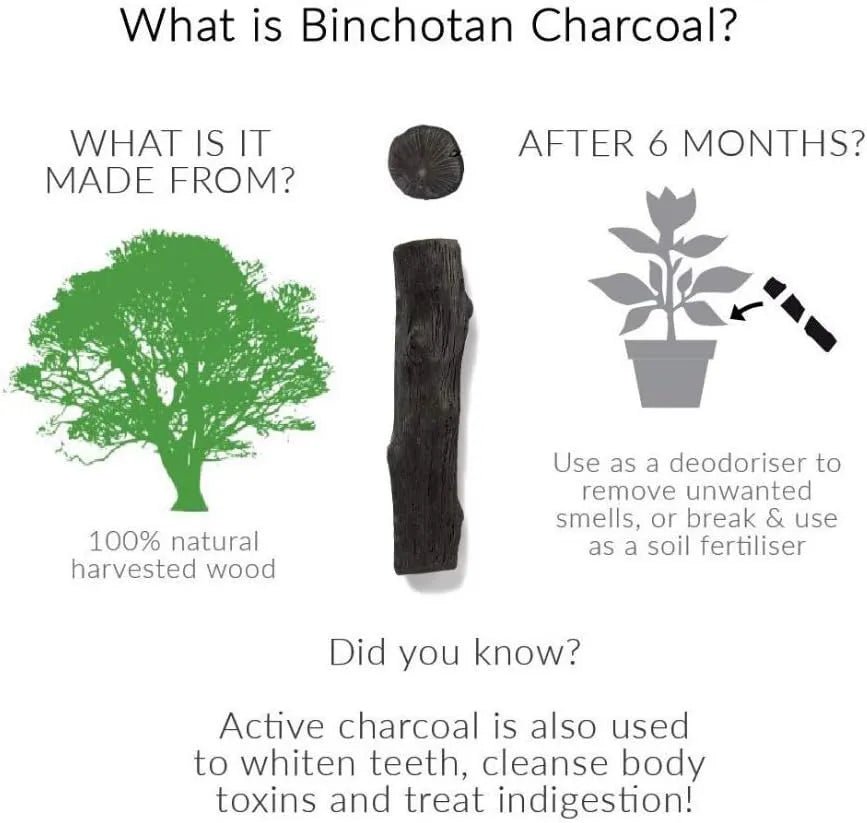 Eau Good Duo Water Filter & Infuser Red 700ml - Black+Blum - Water Filters - Black+Blum