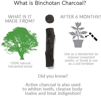 Eau Good Duo Water Filter & Infuser Red 700ml - Black+Blum - Water Filters - Black+Blum