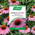 Echinacea Lozenges 30g - Eco Natural Products - A. Vogel - Herbal Supplements