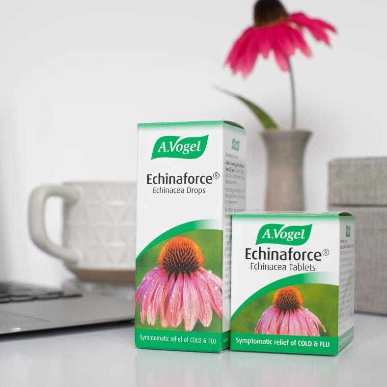 Echinaforce 42 Tabs - Eco Natural Products - A. Vogel - Herbal Supplements