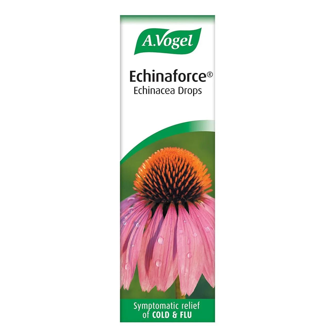 Echinaforce Echinacea Drops 15ml EXP 12.2025 - A. Vogel - Herbal Supplements - A. Vogel