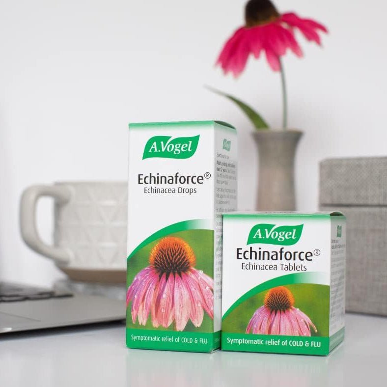 Echinaforce Echinacea Drops 50ml - A. Vogel - Herbal Supplements - Eco Natural Products