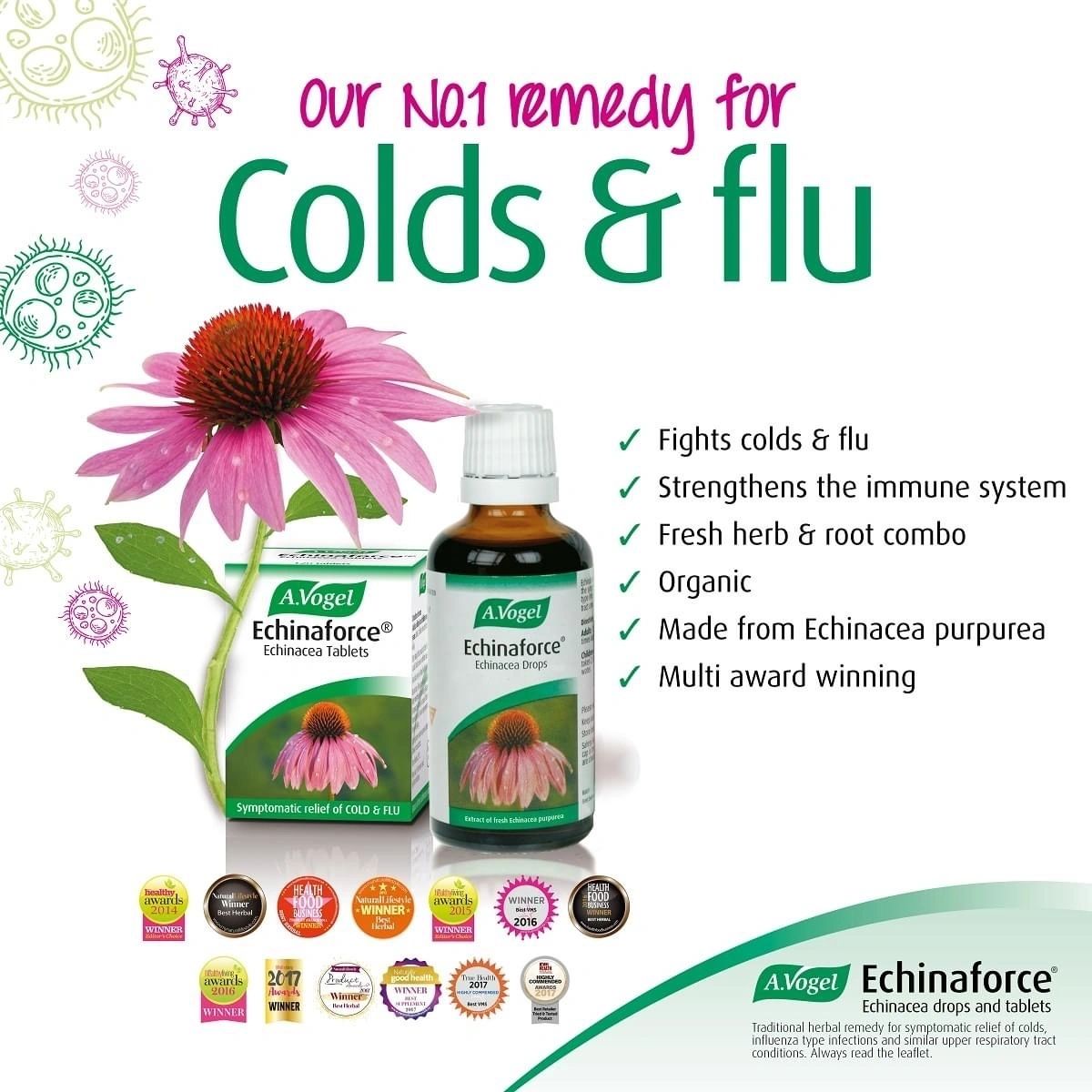 Echinaforce Echinacea Drops 50ml - Eco Natural Products - A. Vogel - Herbal Supplements