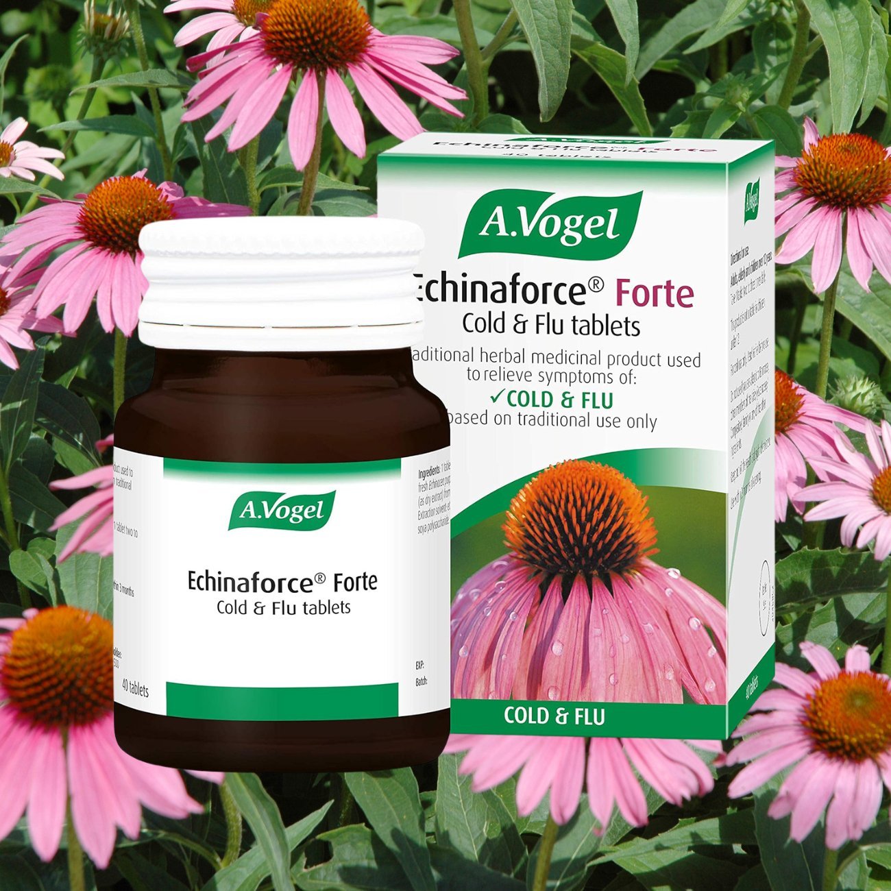 Echinaforce Forte Cold & Flu Tablets Echinacea 40's - A. Vogel - Herbal Supplement - Eco Natural Products