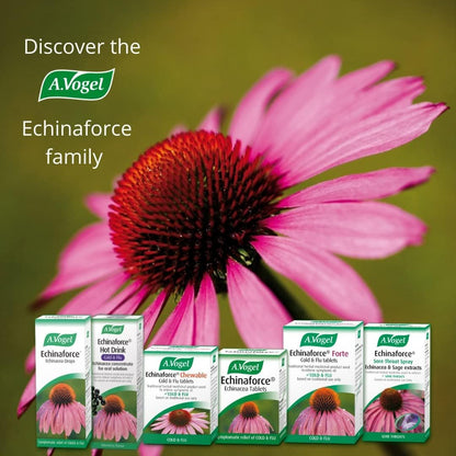 Echinaforce Sore Throat Spray 30ml - A. Vogel - Herbal Supplement - Eco Natural Products