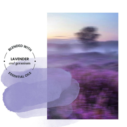 Eco Fabric Conditioner Lavender 1L - Wilton London - Fabric Conditioner - Eco Natural Products