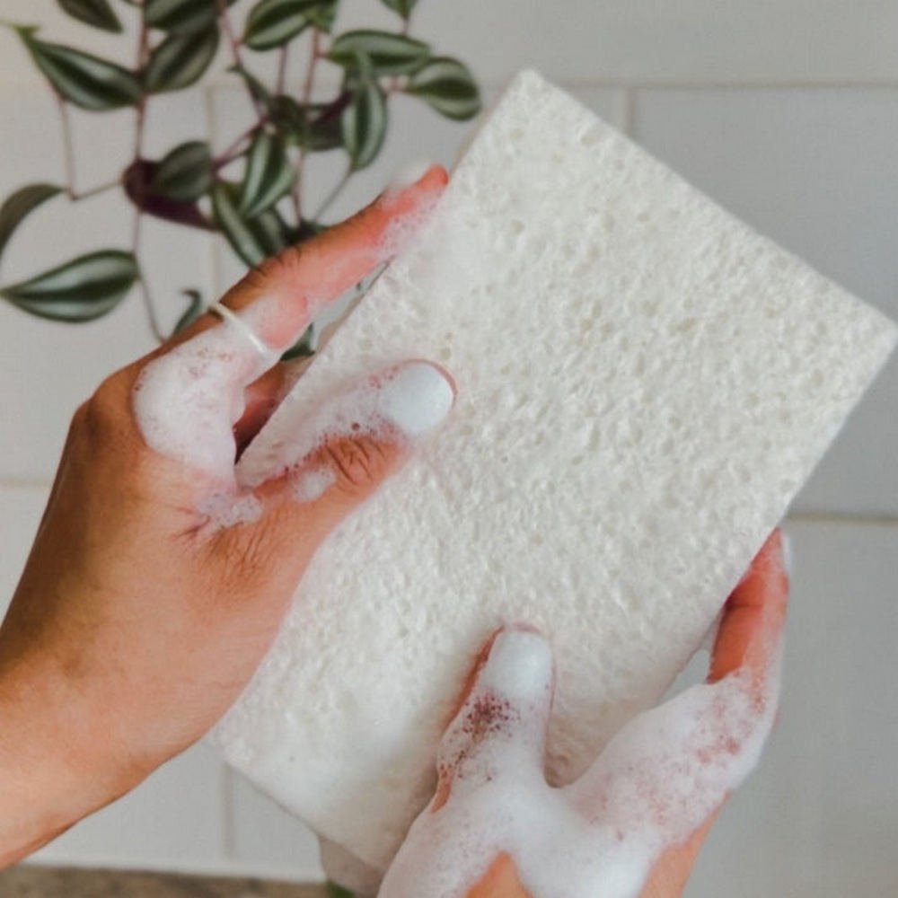 Eco Pop - Up Sponges Pack of 2 20g - Seep - Sponge - Eco Natural Products