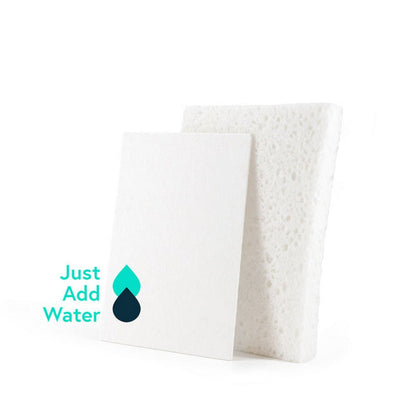 Eco Pop - Up Sponges Pack of 2 20g - Seep - Sponge - Eco Natural Products