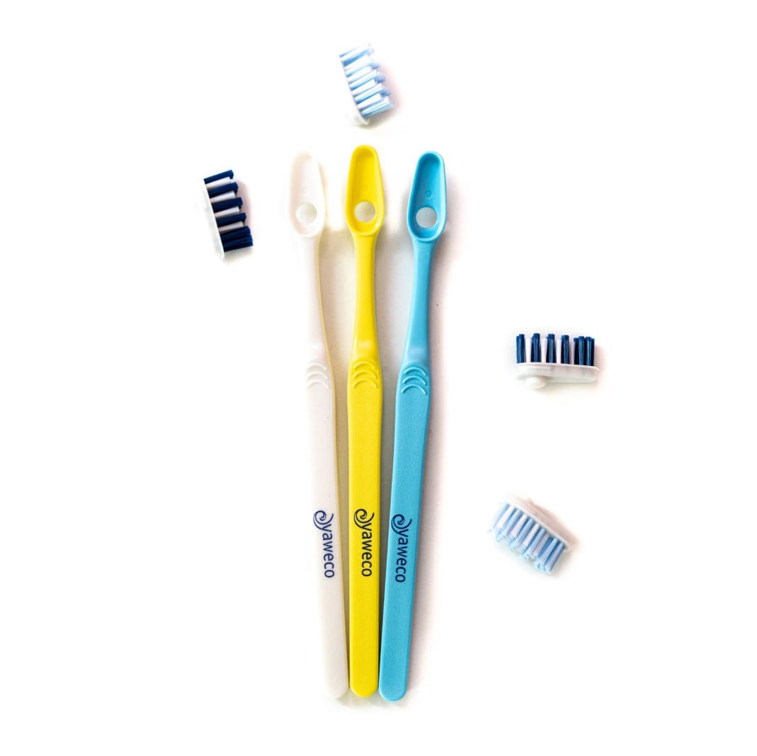 Eco Toothbrush Heads Medium Refill - Eco Natural Products - Yaweco - Toothbrush Head