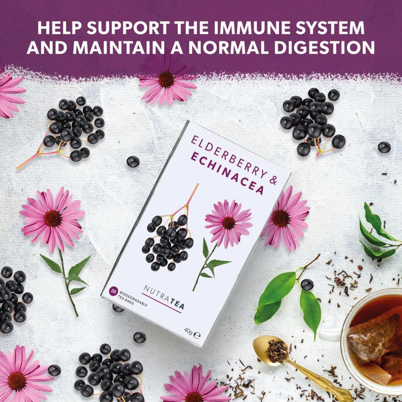 Elderberry & Echinacea Herbal Tea 20 Bags - Nutratea - Herbal Tea - Nutratea