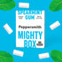 English Spearmint Xylitol Gum 50g Mighty Box - Eco Natural Products - Peppersmith - xylitol gum