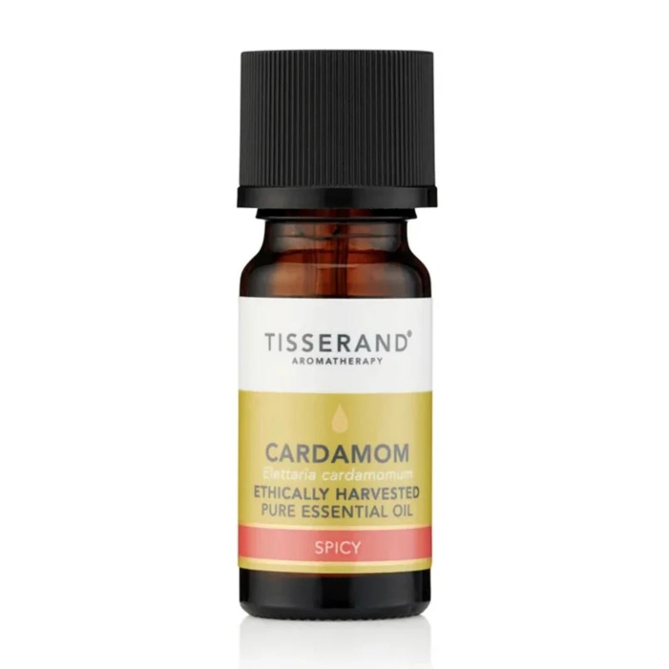 Ethically Harvested Essential Oil Cardamom 9ml - Eco Natural Products - Tisserand - Essential Oil